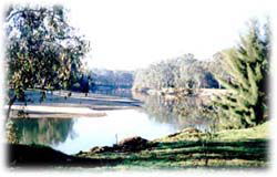 Corowa Golf Club Motel - Accommodation Noosa 0