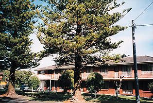  Accommodation Noosa