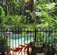 Daintree Rainforest Retreat Motel - Accommodation Noosa