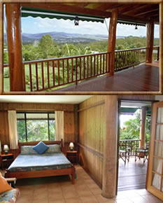 Atherton Blue Gum - Accommodation Noosa 0