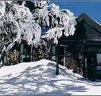 Arlberg Hotel Mt Buller - Accommodation Noosa