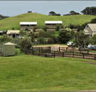 Ace Hi Riding Ranch - Accommodation Noosa