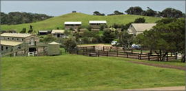 Ace Hi Riding Ranch - Accommodation Noosa 0