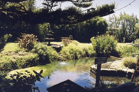 Bayside Gardens - Accommodation Noosa