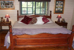 Licuala Lodge - Accommodation Noosa 1