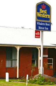 Best Western Whalers Rest Motor Inn - Accommodation Noosa