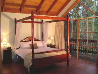 Belle Le Vie (Luxury B&B) - Accommodation Noosa 2