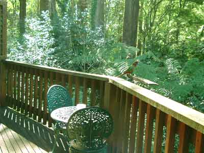 Belle Le Vie (Luxury B&B) - Accommodation Noosa 4