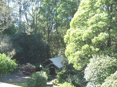 Belle Le Vie (Luxury B&B) - Accommodation Noosa 5