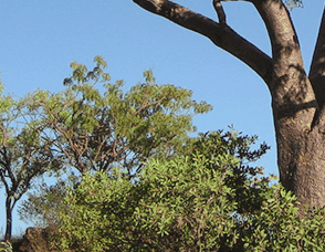 Lakeview Apartments Kununurra - Accommodation Noosa 3