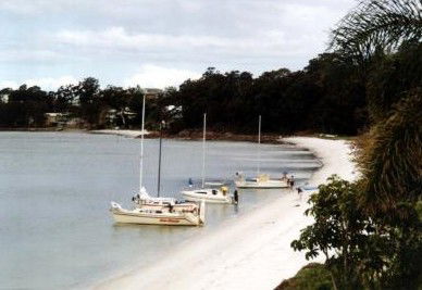 The Mitchells Waterfront B & B - Accommodation Noosa 2