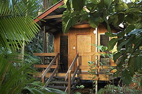 Cape Trib Beach House - Accommodation Noosa 0