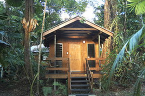 Cape Trib Beach House - Accommodation Noosa 3