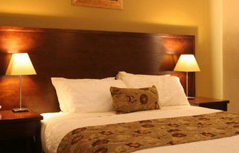 Whale Motor Inn - Accommodation Noosa 1