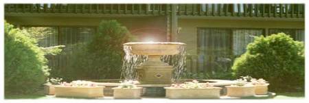 Best Western Tall Trees Motel - Accommodation Noosa 2