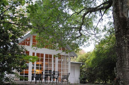 Bygone Beautys Cottages - Accommodation Noosa 1