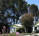 King Island Accommodation Cottages - Accommodation Noosa 1