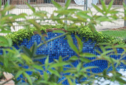 Arcadia Motor Inn - Accommodation Noosa 4