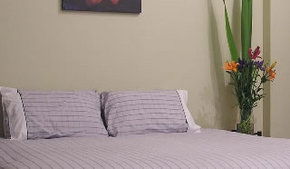 Stingo Hotel - Accommodation Noosa 0