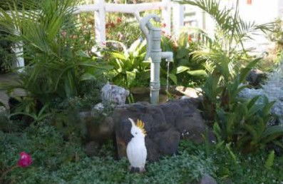 Kingfisher Motel - Accommodation Noosa 3