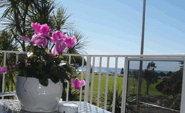 Beach Park Motor Inn - Accommodation Noosa 3