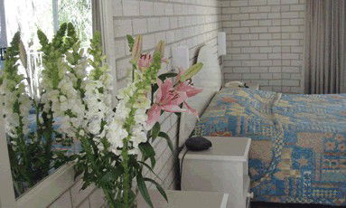 Beach Park Motor Inn - Accommodation Noosa 4