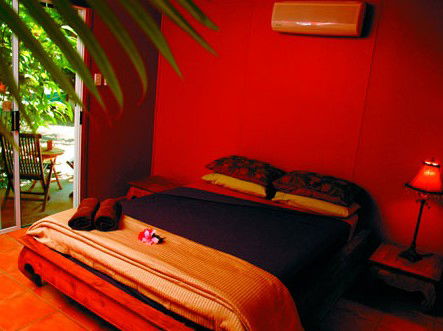 Rum Jungle Bungalows - Accommodation Noosa 2