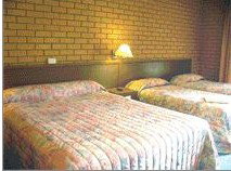 Bega Village Motor Inn - Accommodation Noosa 3