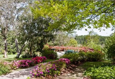 Bilpin Resort - Accommodation Noosa 2