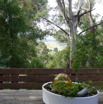 Bimblegumbie B And B - Accommodation Noosa 0