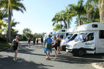 Gateway Village Resort - Accommodation Noosa 1