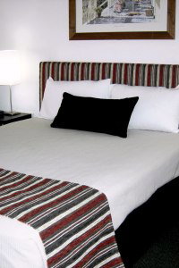 Cattle City Motor Inn - Accommodation Noosa 1