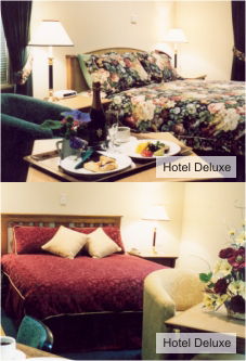 Accommodation Noosa