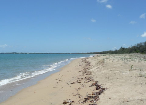 The Shores Holiday Apartments - Accommodation Noosa 2