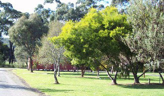 Gellibrand River Valley Cabins - Accommodation Noosa 1