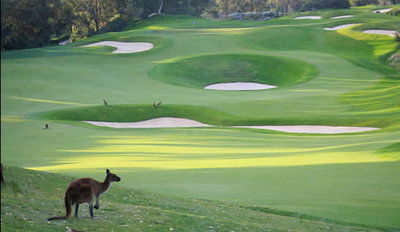 Joondalup Resort - Accommodation Noosa 9