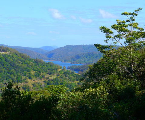 Lillypillys Cottages & Day Spa - Accommodation Noosa 6