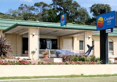 Comfort Inn Albany - Accommodation Noosa 0