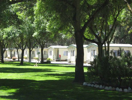 BIG 4 Barossa Tourist Park - Accommodation Noosa 0