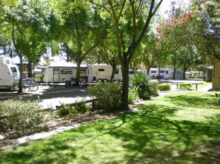 BIG 4 Barossa Tourist Park - Accommodation Noosa 1