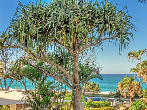 AA Oceana On Broadbeach - Accommodation Noosa 17