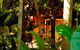 Rum Jungle Bungalows - thumb 5