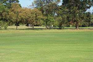 Beach Motor Inn - Accommodation Noosa 7