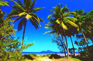 Mission Beach Rainforest Motel - Accommodation Noosa 1