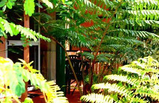 Mission Beach Rainforest Motel - Accommodation Noosa 3