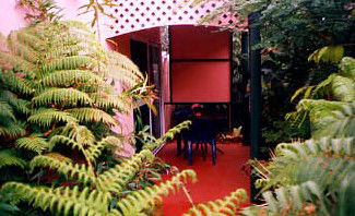 Mission Beach Rainforest Motel - Accommodation Noosa 4