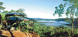 Daintree Cloud 9 - Accommodation Noosa 1