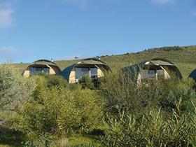 Saunders Gorge Sanctuary - Lodges - Accommodation Noosa 0
