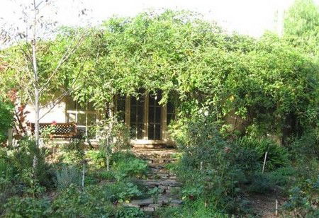 Lemontree Cottage - Accommodation Noosa 5