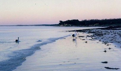 Destrees Bay SA Accommodation Noosa